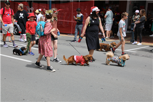 2020 Timaru Santa Parade