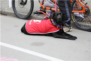 2020 Timaru Santa Parade