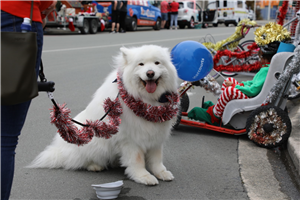 2020 Timaru Santa Parade