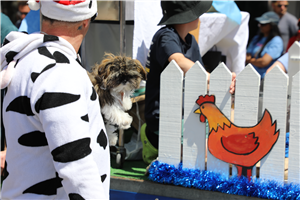 2020 Timaru Santa Parade